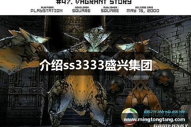 介绍ss3333盛兴集团